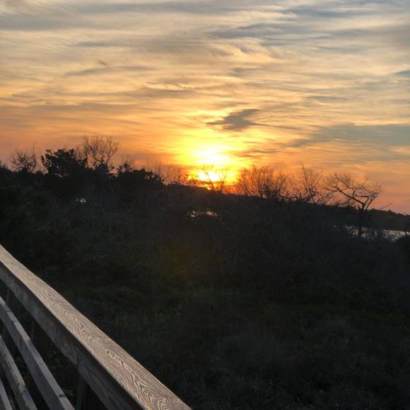 Meet your Posher, Amanda - Picture 1 of 1